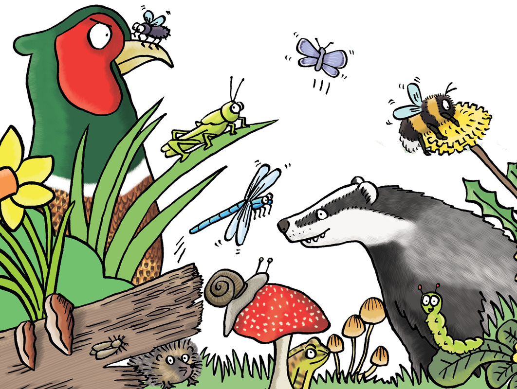Humorous children's cartoon wildlife illustration of pheasant, badger, insects in garden