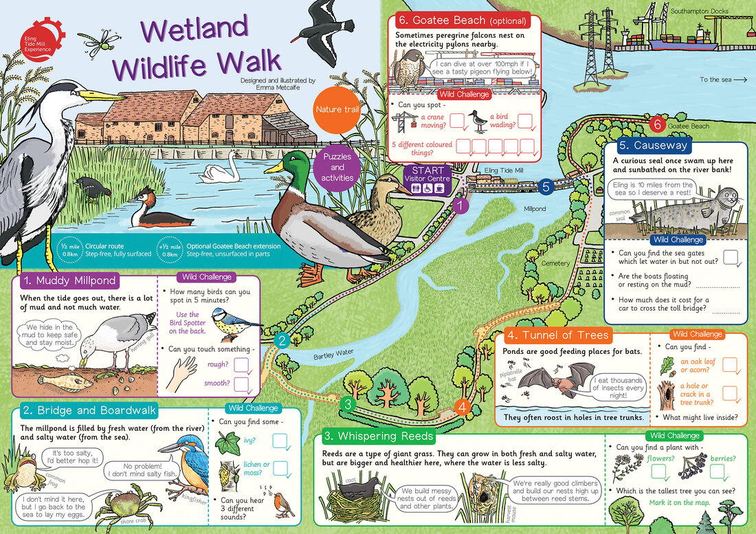 Illustrated nature walk map of wetland wildlife with activities by map illustrator Emma Metcalfe