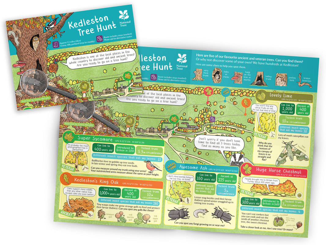 Kedleson Tree Hunt children's nature trail map leaflet by illustrator Emma Metcalfe
