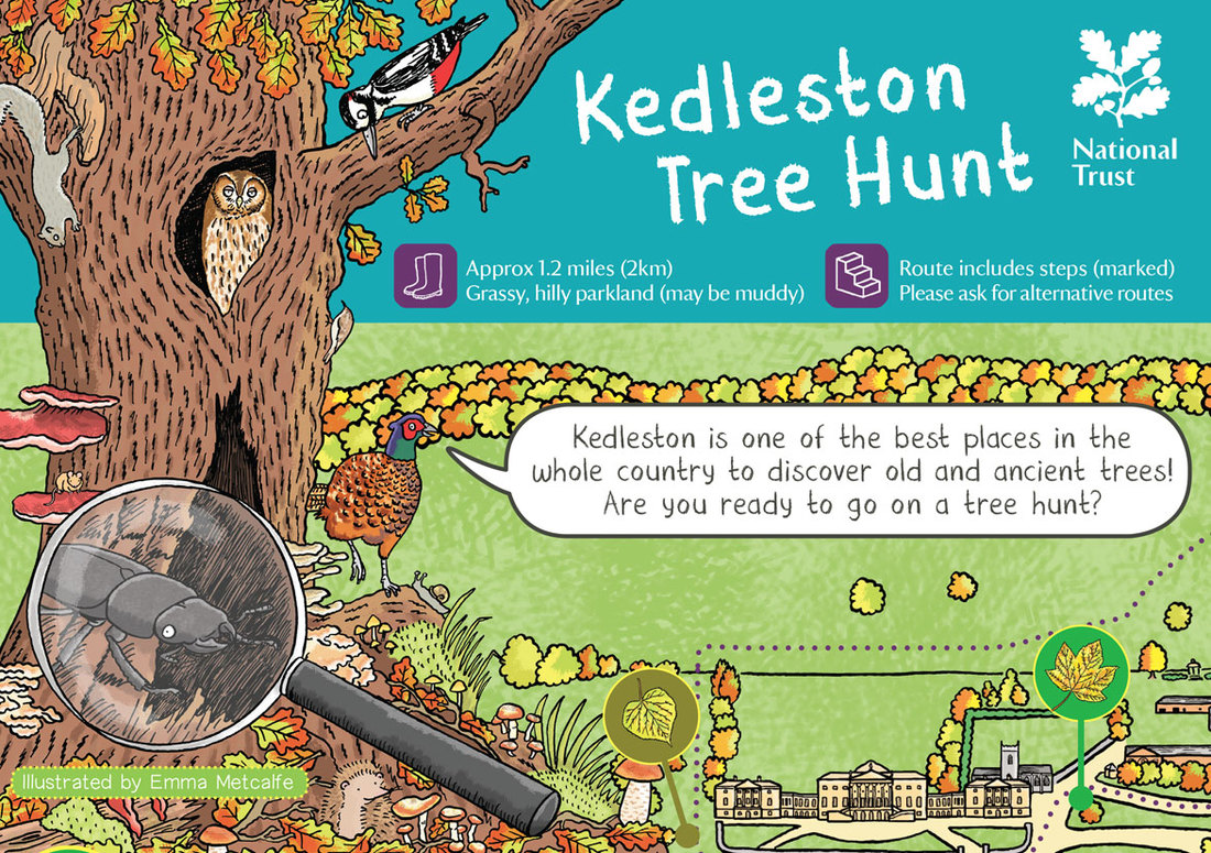 Front cover illustration from Kedleston Tree Hunt nature trail by Emma Metcalfe